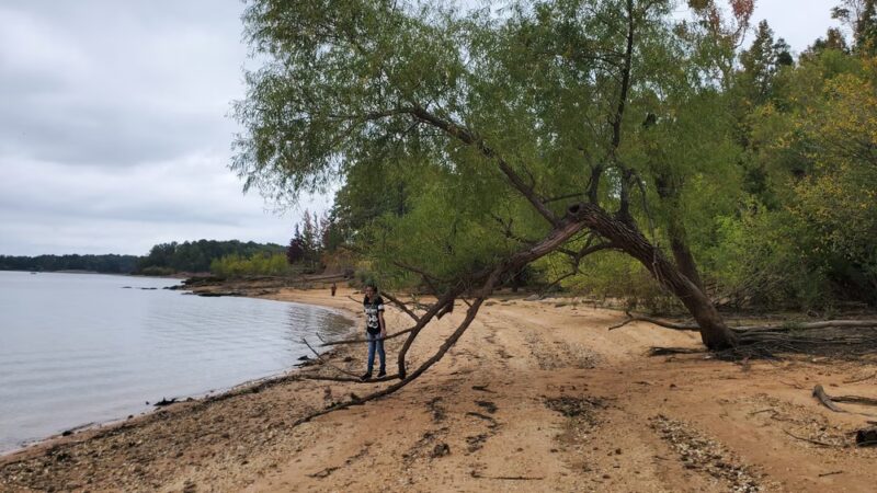 Arkabutla Lake - US, MS