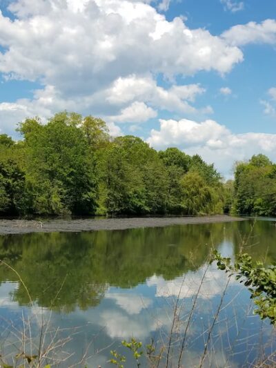 Bronxville Lake - US, NY
