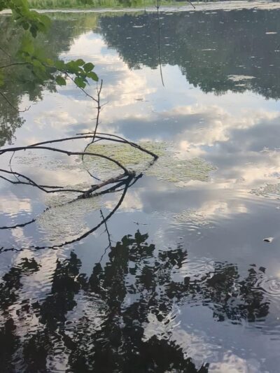 Bronxville Lake - US, NY