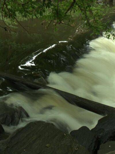 Bronxville Lake - US, NY