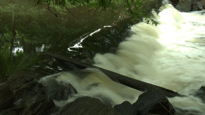 Bronxville Lake - US, NY