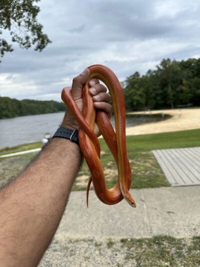 Bear Creek Lake Trail - US, VA