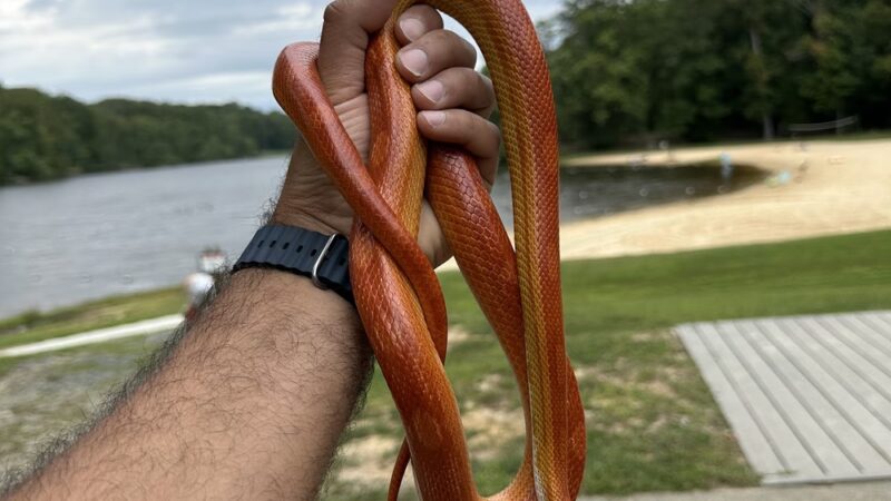 Bear Creek Lake Trail - US, VA