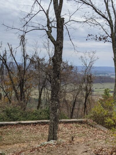 Pulaski Wayside Picnic Area - US, VA