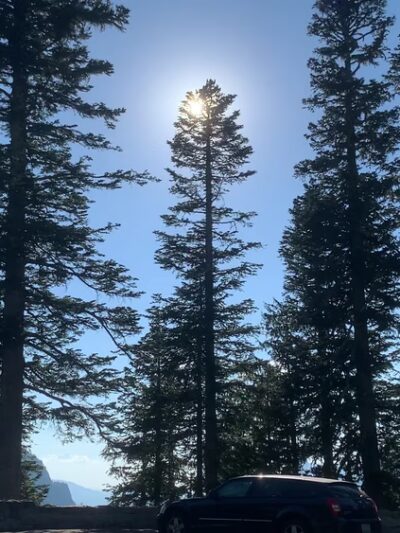 Paradise Park - US, WA