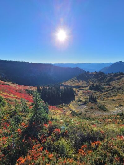 Paradise Park - US, WA