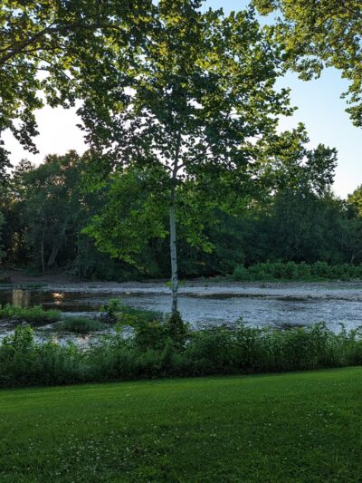 Brighton Park - US, WV