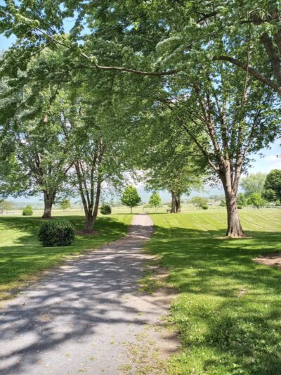 Brighton Park - US, WV