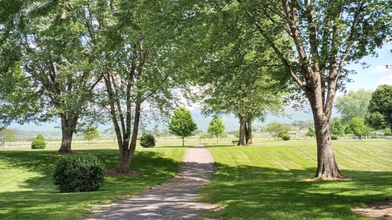Brighton Park - US, WV
