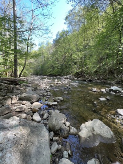 Glade Creek Falls - US, WV