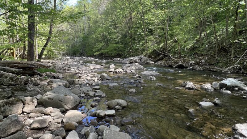 Glade Creek Falls - US, WV