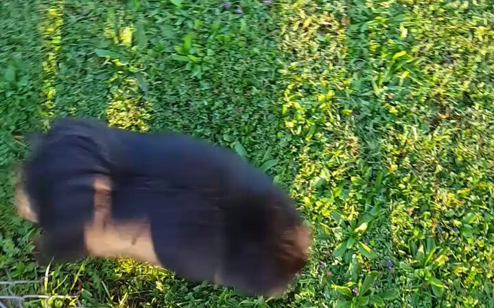 Addison Miller Park - Utica, NY