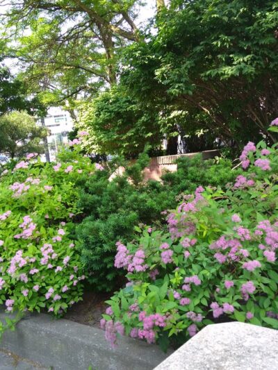 Ellen E. Hanna Mini Park - Utica, NY