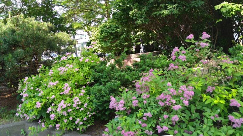 Ellen E. Hanna Mini Park - Utica, NY