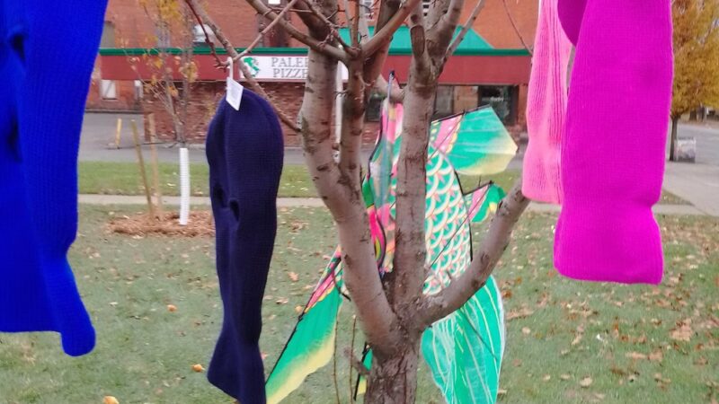 Oneida Square Park - Utica, NY