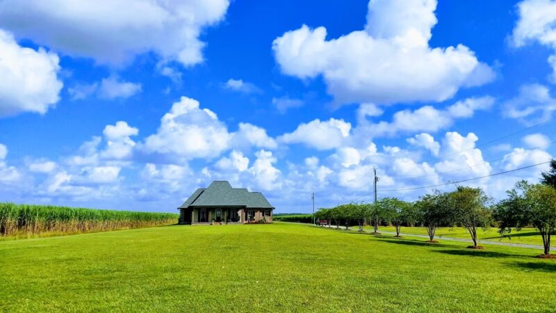 South Vacherie Park - Vacherie, LA