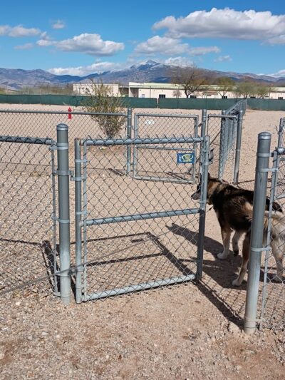 Rancho Del Lago dog park - Vail, AZ