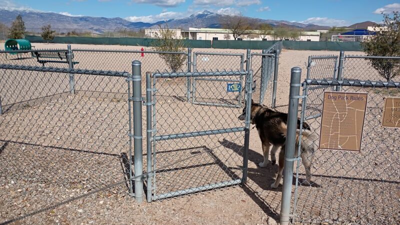 Rancho Del Lago dog park - Vail, AZ