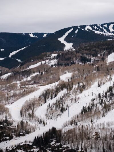 Vail Canine Concierge - ,