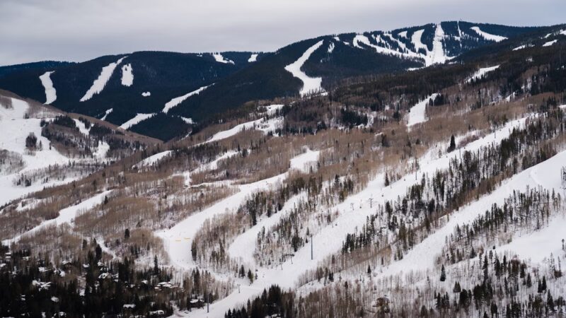 Vail Canine Concierge - ,