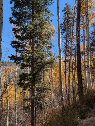 Davos Trailhead - Vail, CO