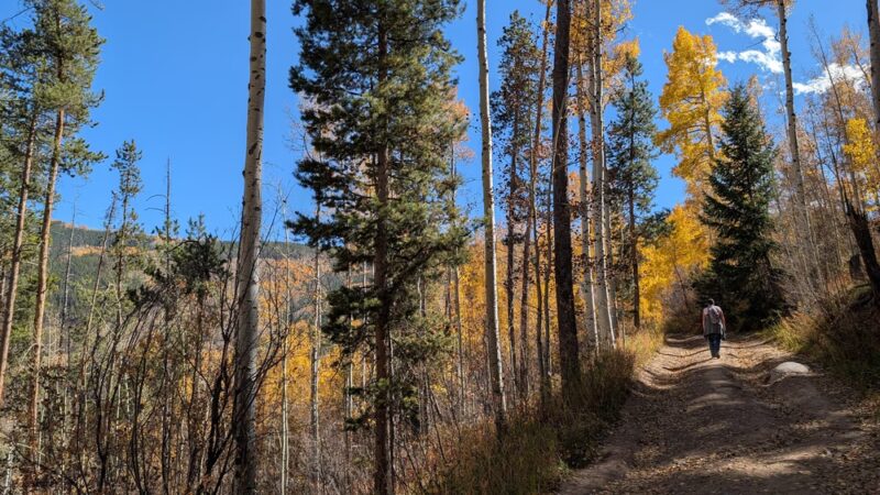Davos Trailhead - Vail, CO