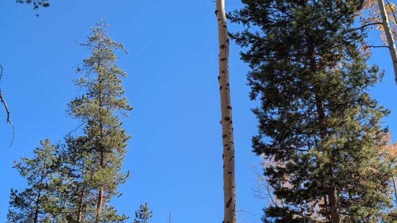 Davos Trailhead - Vail, CO