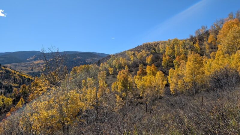Davos Trailhead - Vail, CO