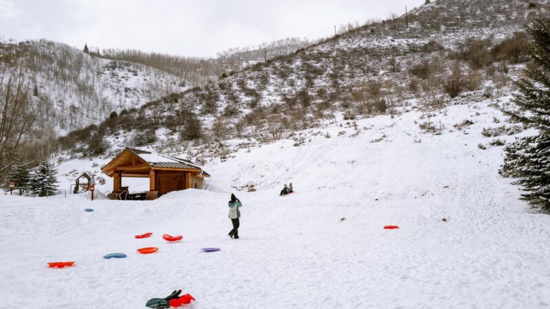 Ellefson Park - Vail, CO