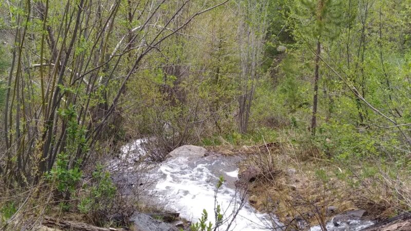 Vail Trail - Eastern Trailhead - Vail, CO