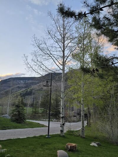 Vail Trail - Eastern Trailhead - Vail, CO