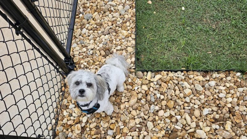 Dog Park at Love's Travel Stops - Valdosta, GA