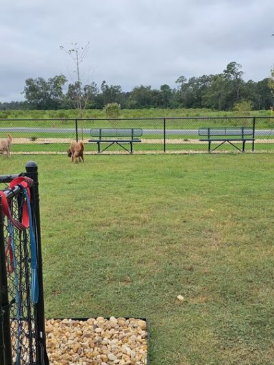 Dog Park at Love's Travel Stops - Valdosta, GA