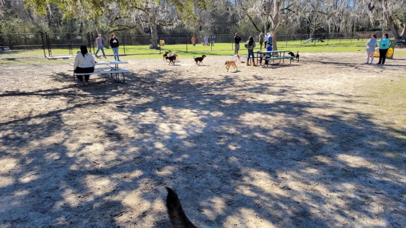 Freedom Park Dog Park - Valdosta, GA