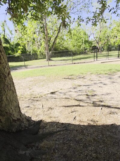 Freedom Park Dog Park - Valdosta, GA