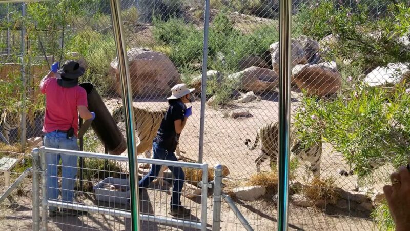Keepers of the Wild Nature Park - Valentine, AZ