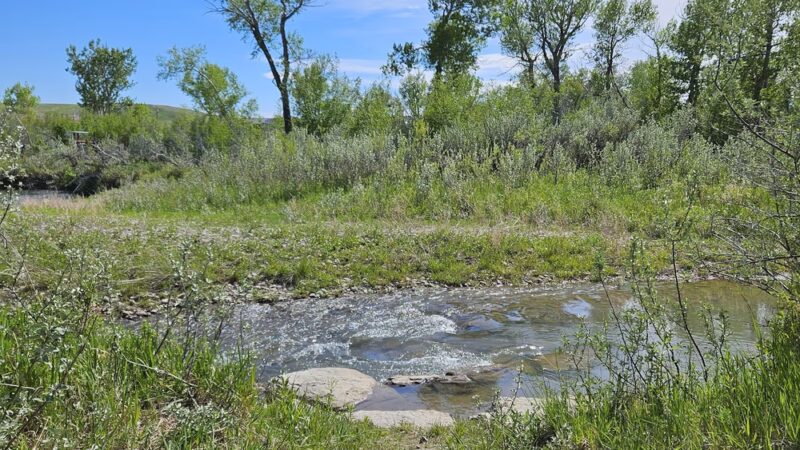 Dupuyer Park - Valier, MT