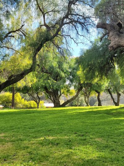 Adams County Park - Valley Center, CA