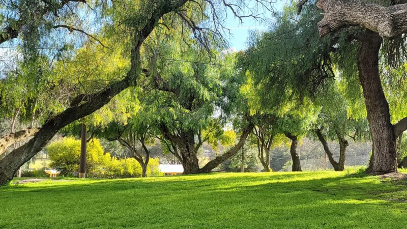 Adams County Park - Valley Center, CA