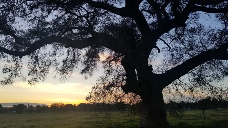 Valley Center Community Church Park - Valley Center, CA