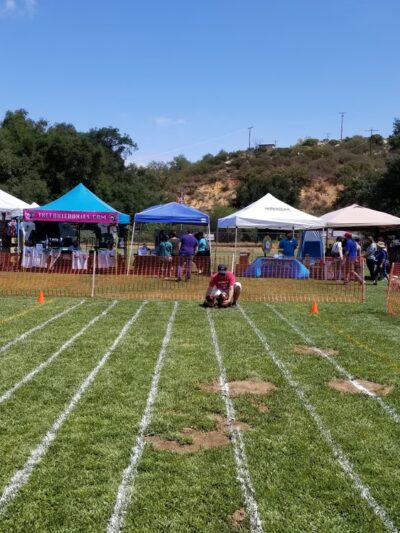 Valley Center Dog Dock - Valley Center, CA