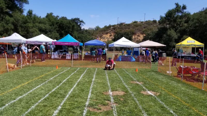 Valley Center Dog Dock - Valley Center, CA