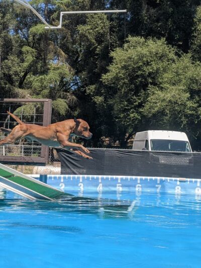 Valley Center Dog Dock - Valley Center, CA