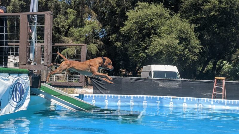 Valley Center Dog Dock - Valley Center, CA