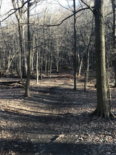 Rockland Lake Trail - Valley Cottage, NY