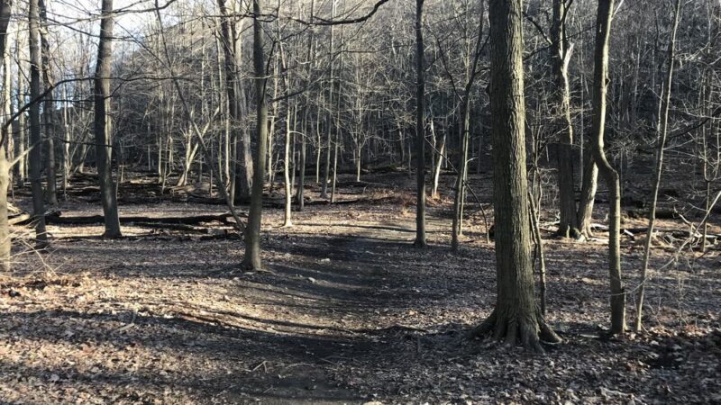 Rockland Lake Trail - Valley Cottage, NY