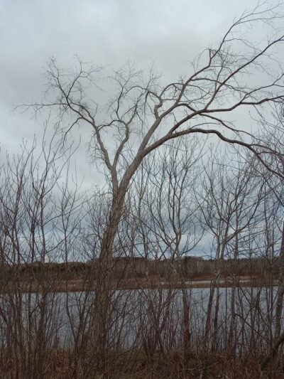Van Buren - Van Buren, ME
