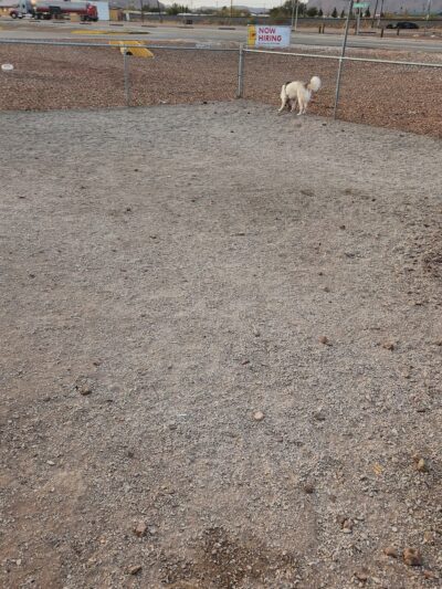 Dog Park at Love's Travel Stops - Van Horn, TX