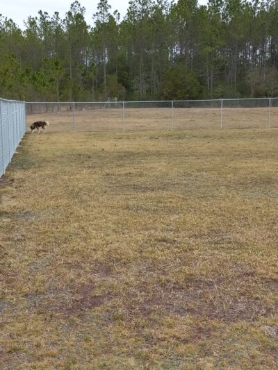 Vancleave Dog Park - Vancleave, MS