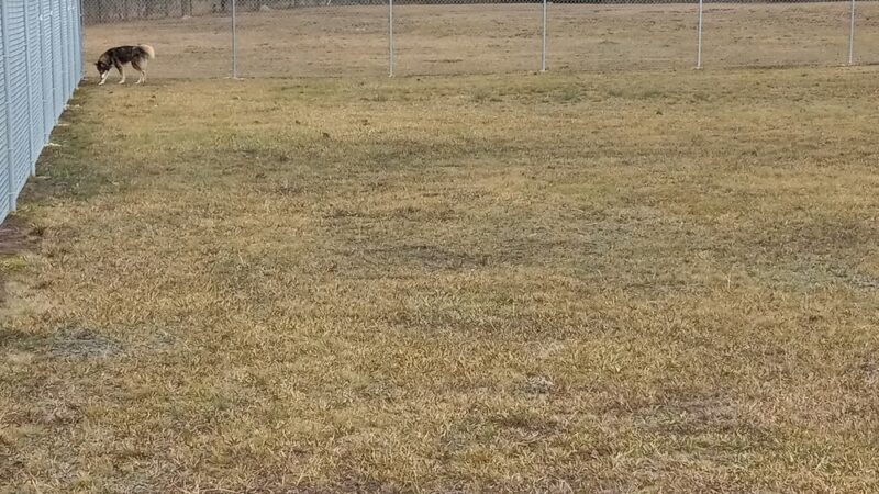 Vancleave Dog Park - Vancleave, MS